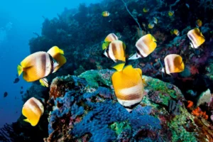i 727842