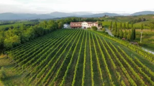 dji fly 20240806 191756 82 1722966159506 photo optimized 2048x1152.jpg