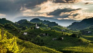Italia del Nord Est prosecco hills