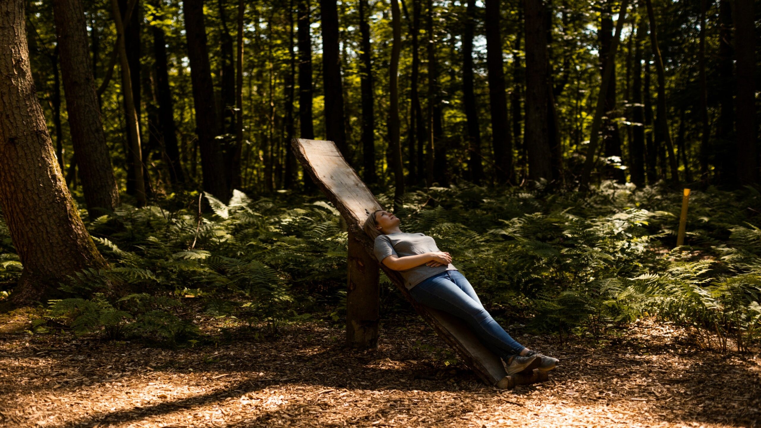 Visitor Forest Bathing At Wallington Northumberland 1752688 Scaled
